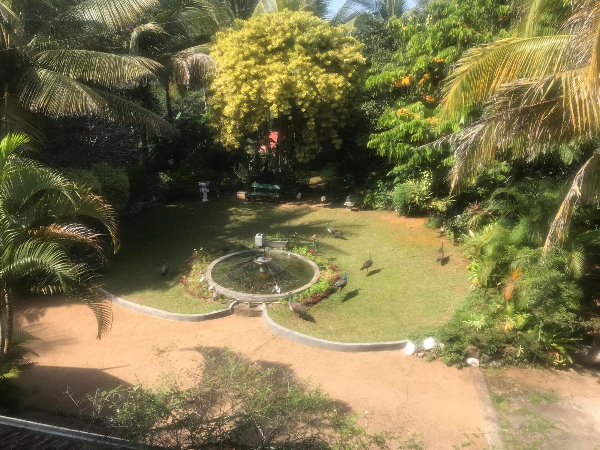 Wattarantanne Homestay Kandy Exterior foto